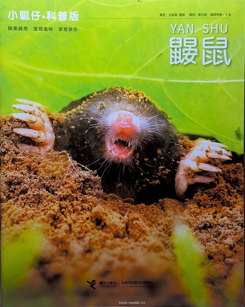 鼹鼠