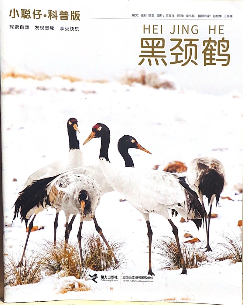 黑颈鹤