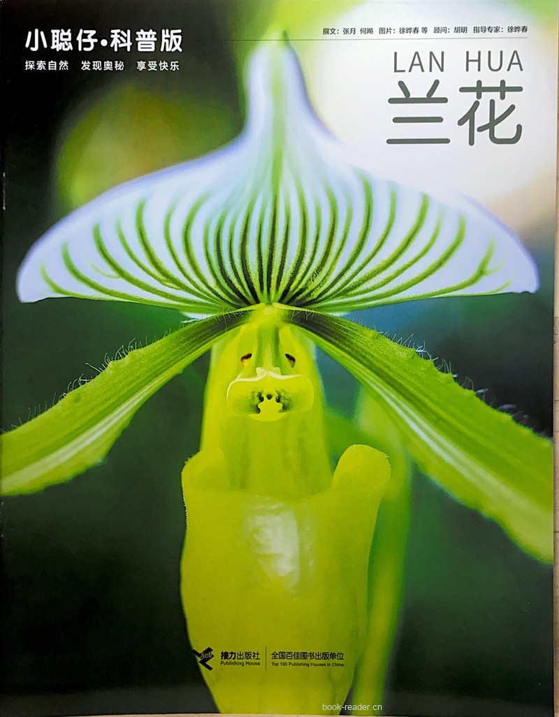 兰花