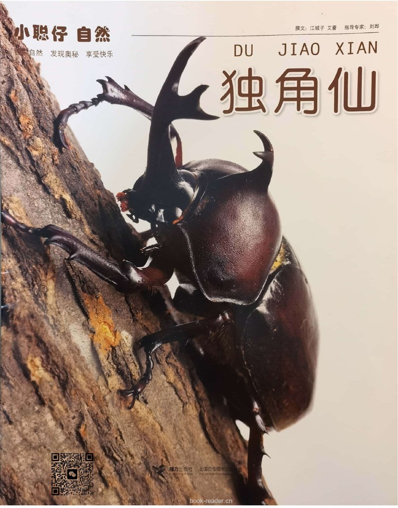 独角仙