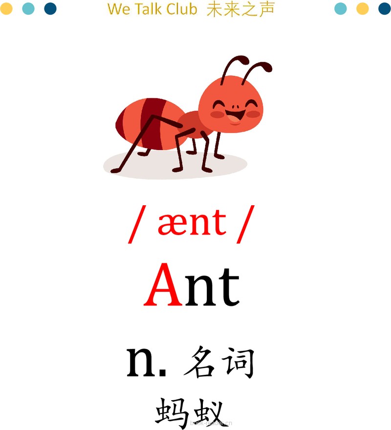 unit 4 词汇