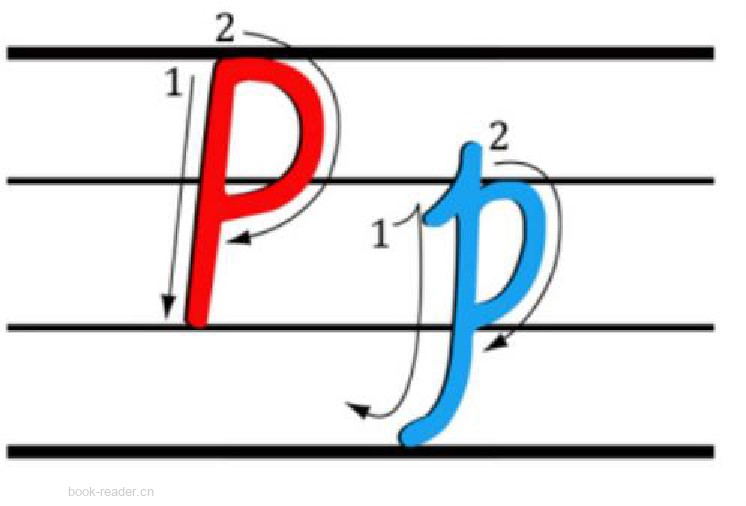 Pp