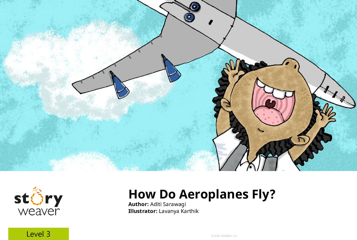 How Do Aeroplanes Fly_ An Early Non Fiction Book