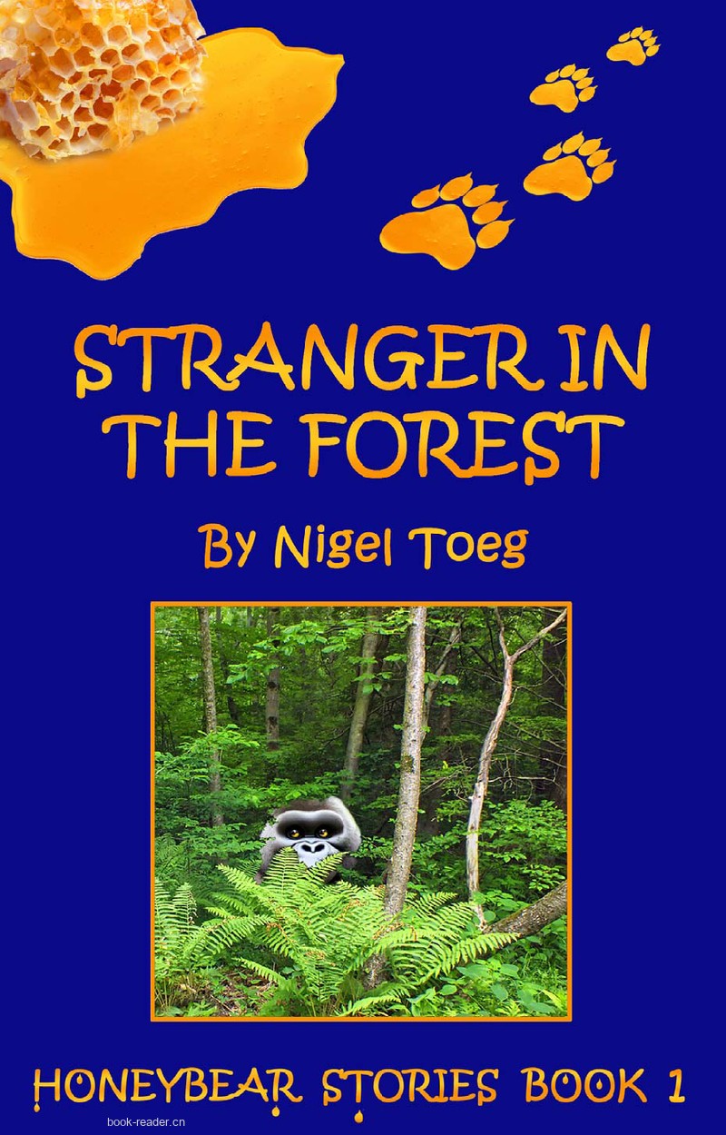 Stranger in the Forest