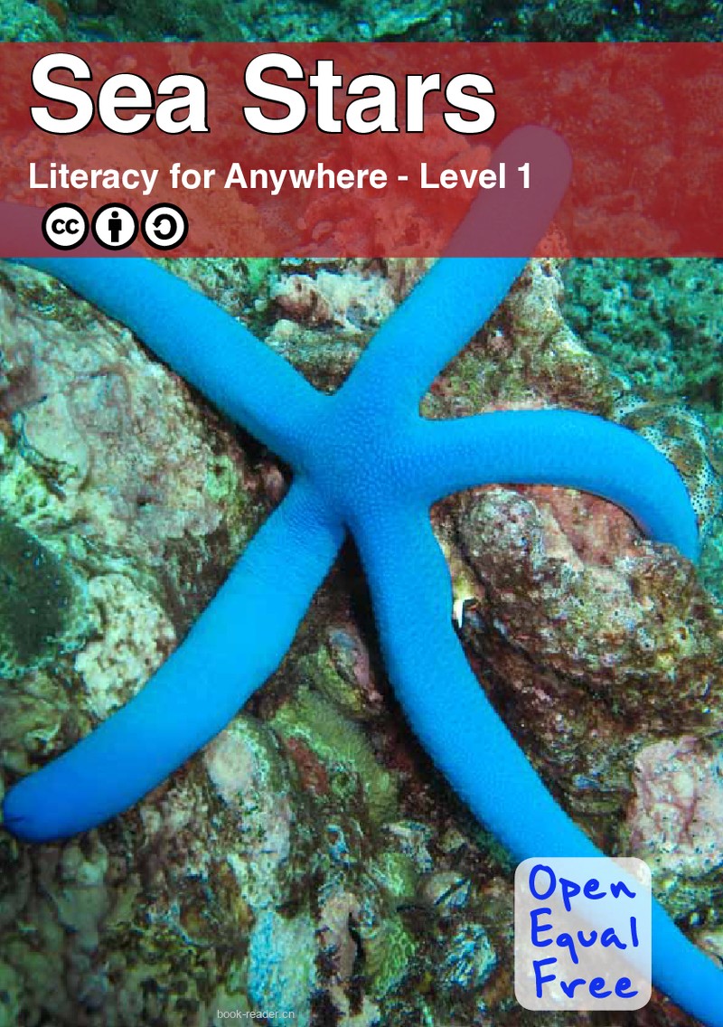Sea Stars