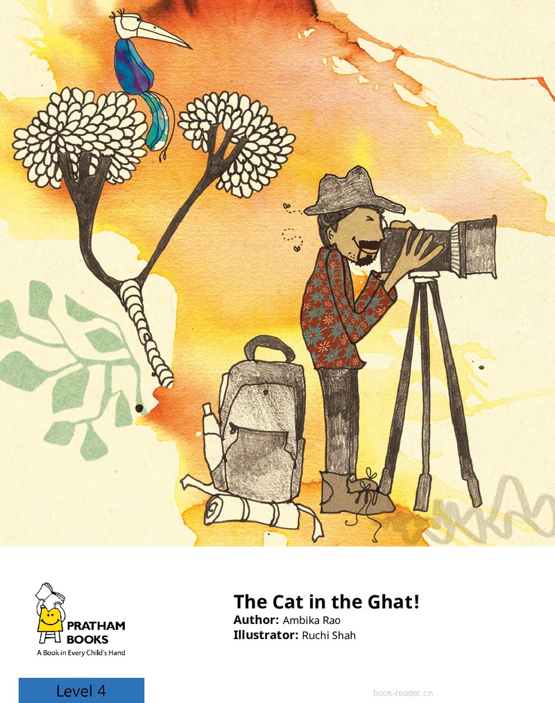 Cat in the Ghat! – Adventure in the Western Ghats