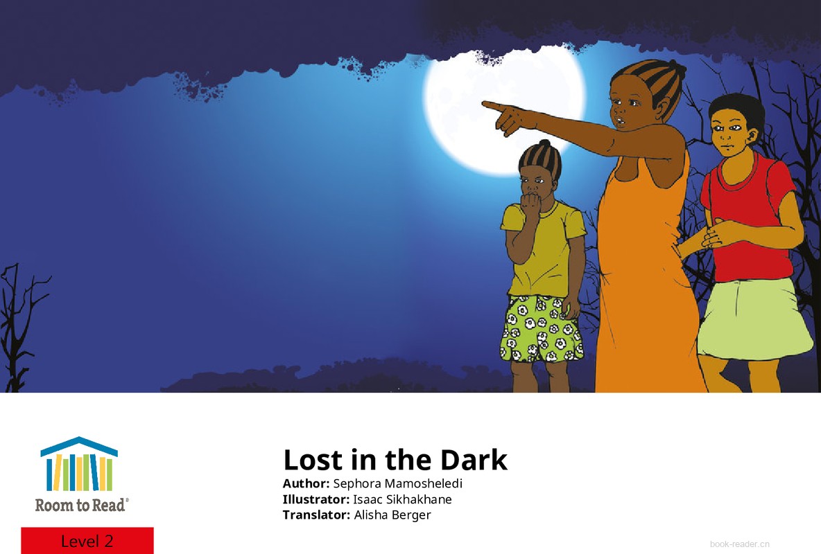 Lost in the Dark