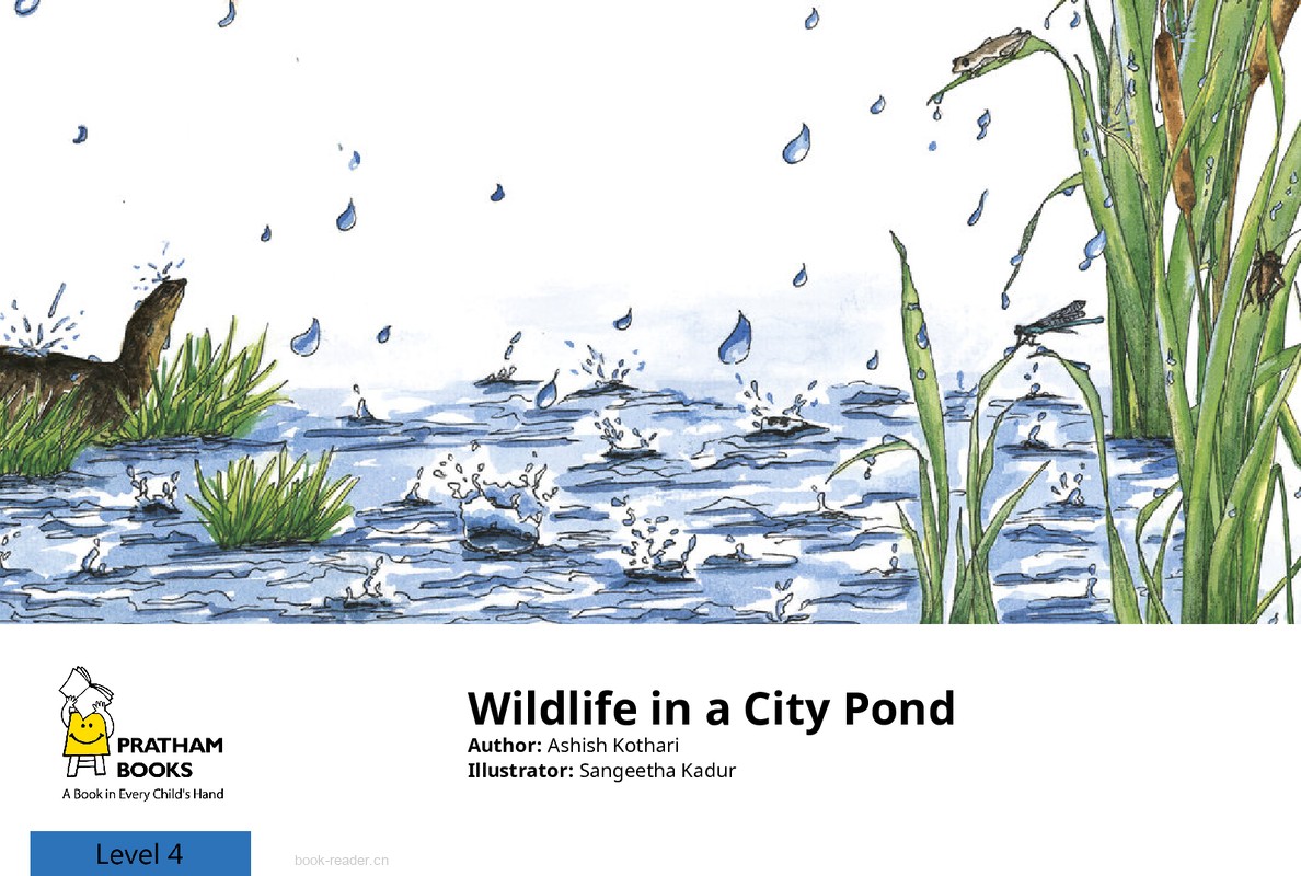 Wildlife in a City Pond – Saving the Environment