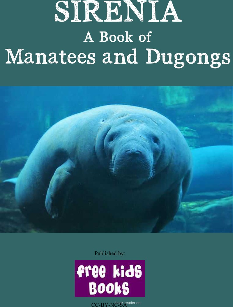Sirenia – A Book of Manatees and Dugongs