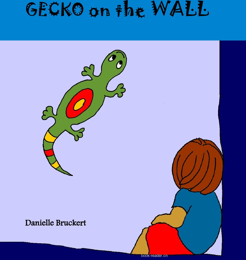 Gecko on the Wall Extended Version