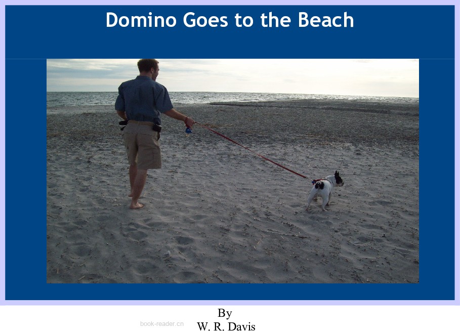 Domino Goes to the Beach