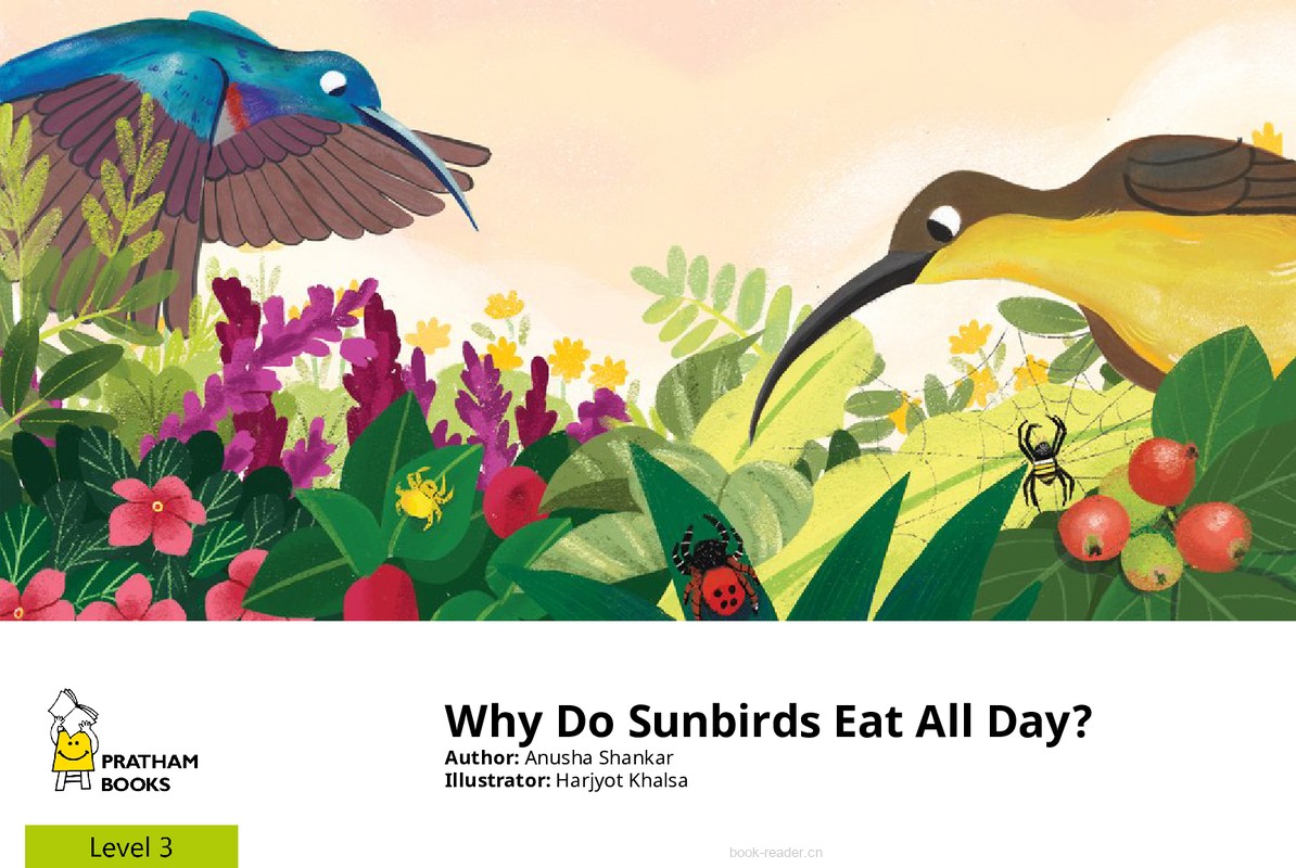 Why Do Sunbirds Eat All Day