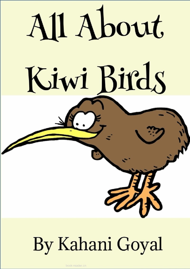 All about Kiwi Birds