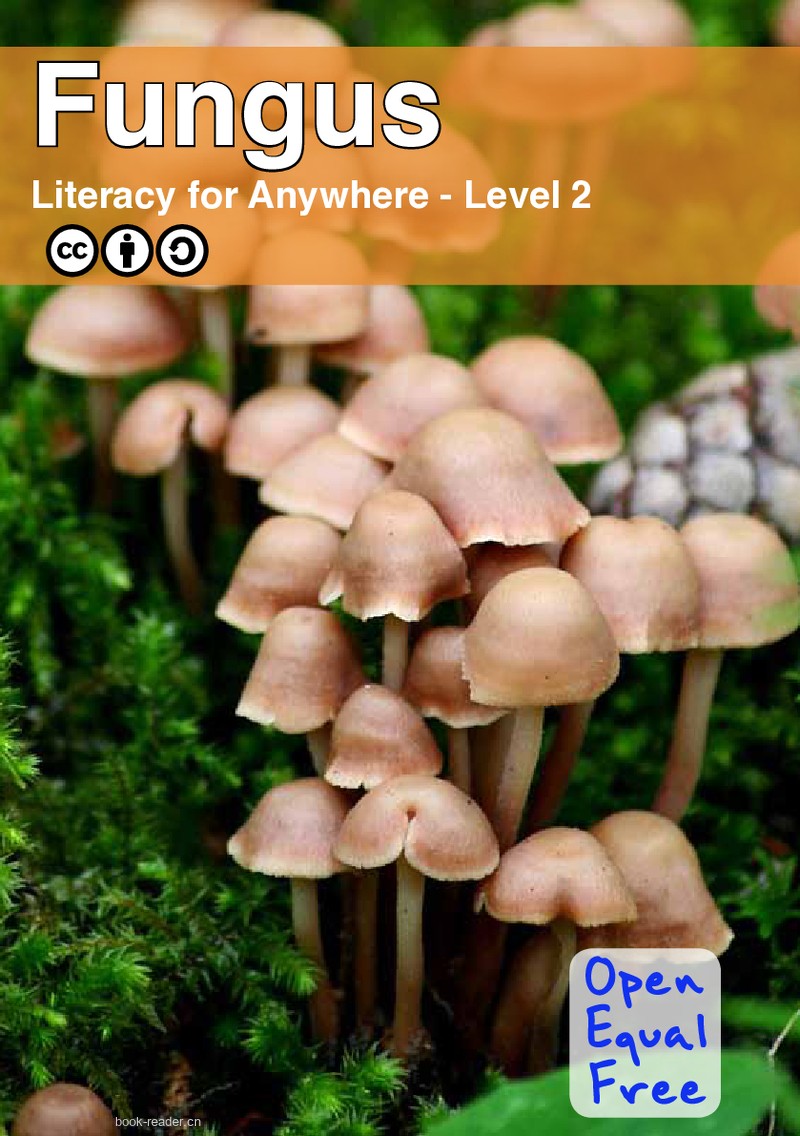 Fungus – Types of Mushrooms