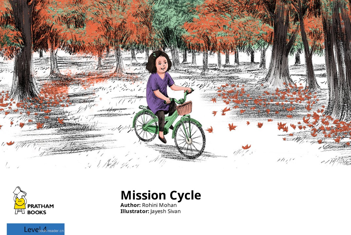 Mission Cycle