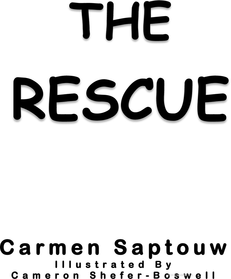 The Rescue