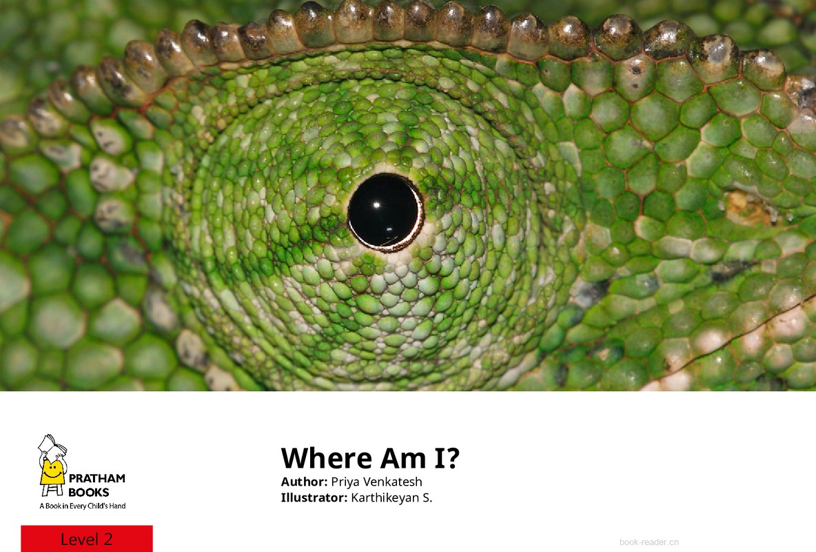Where am I