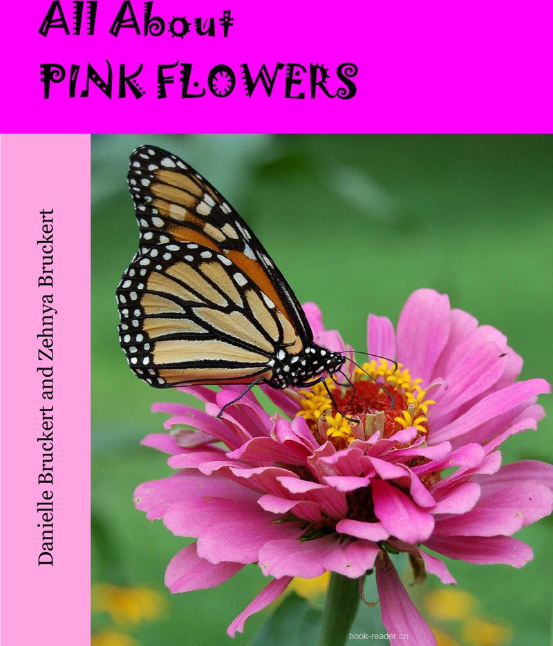 Pink Flowers