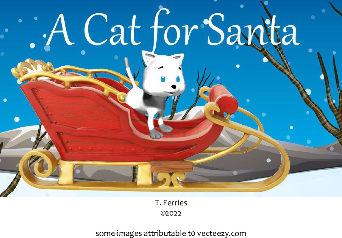 A Cat for Santa