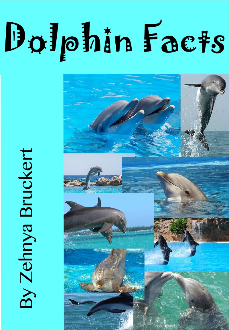 Dolphin Facts – Early Non-fiction