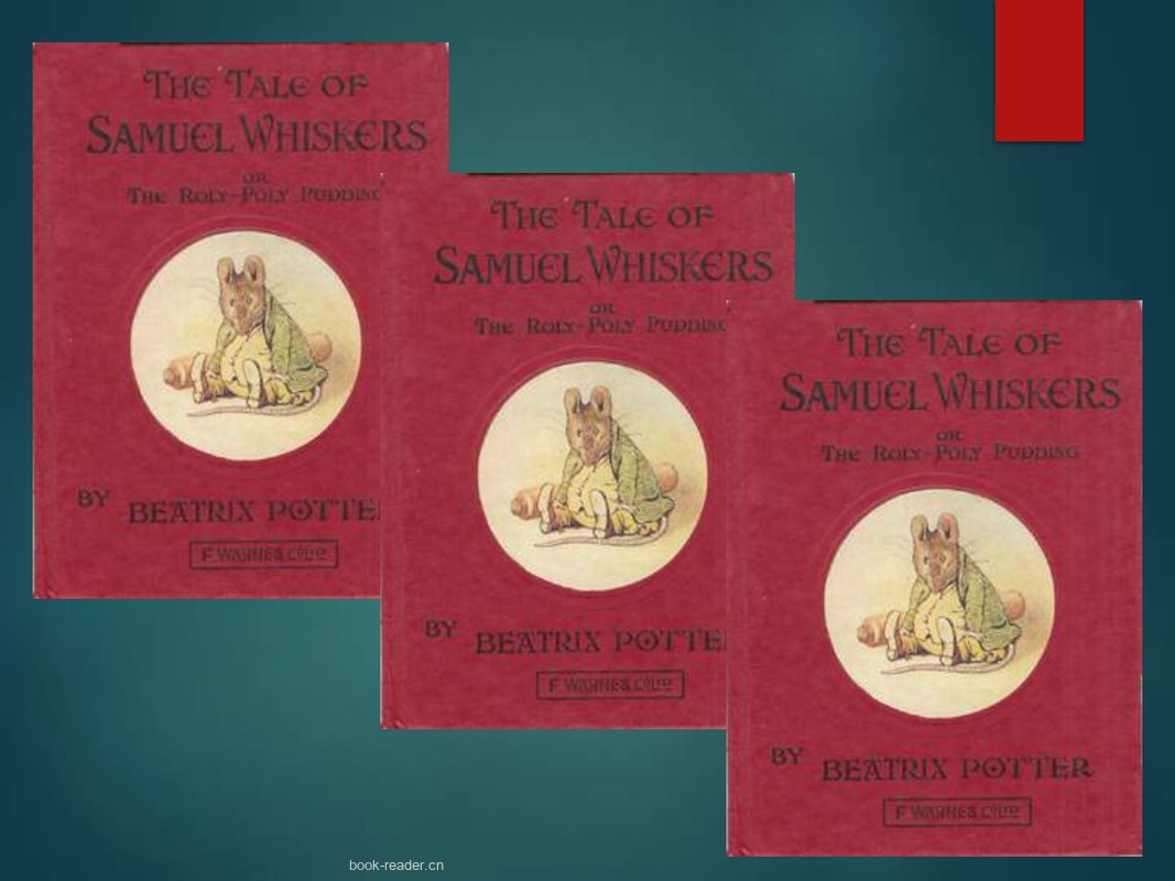 Samuel Whiskers, The Roly Poly Pudding