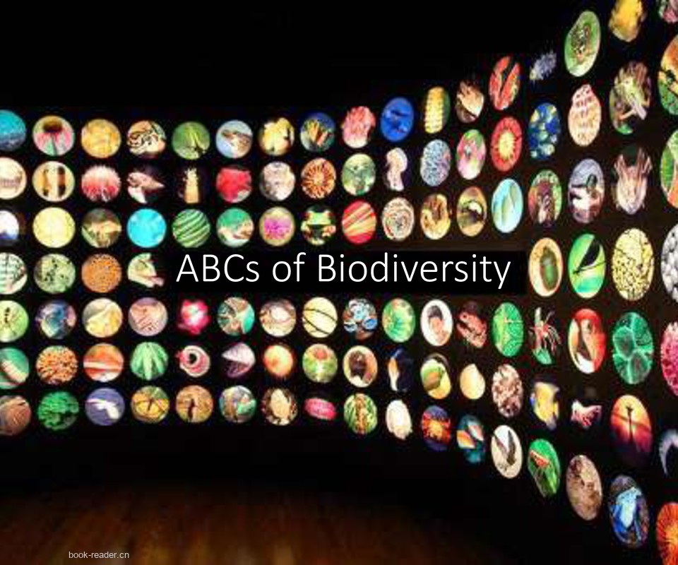 ABC’s of Biodiversity – A Truly Amazing Alphabet