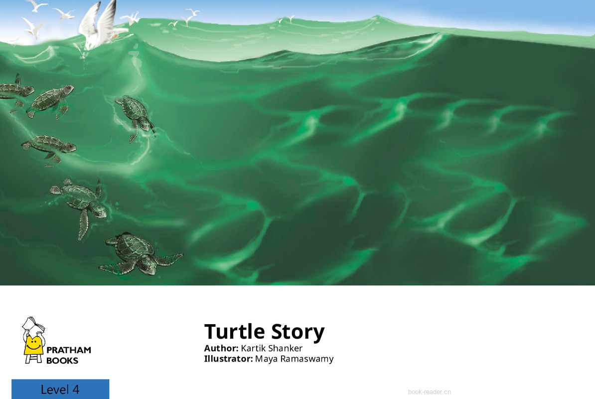 Turtle Story