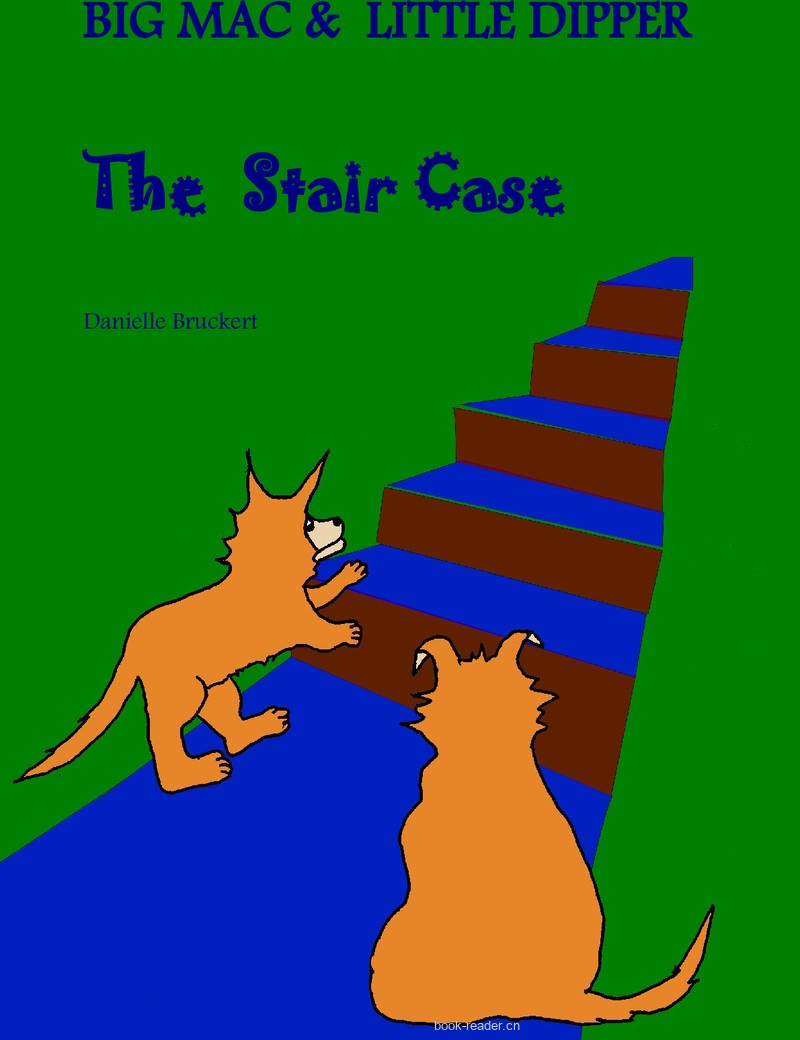 Big Mac and Little Dipper_ The Stair Case