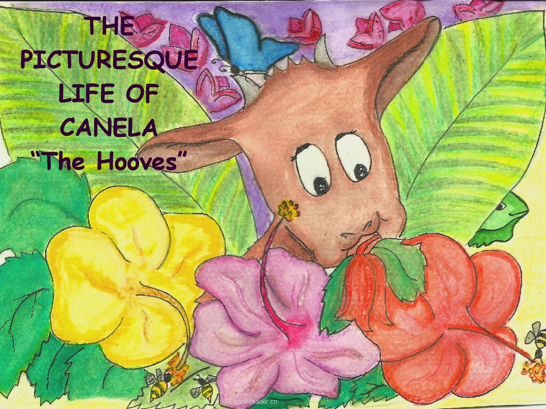 The Picturesque Life of Canela_ The Hooves