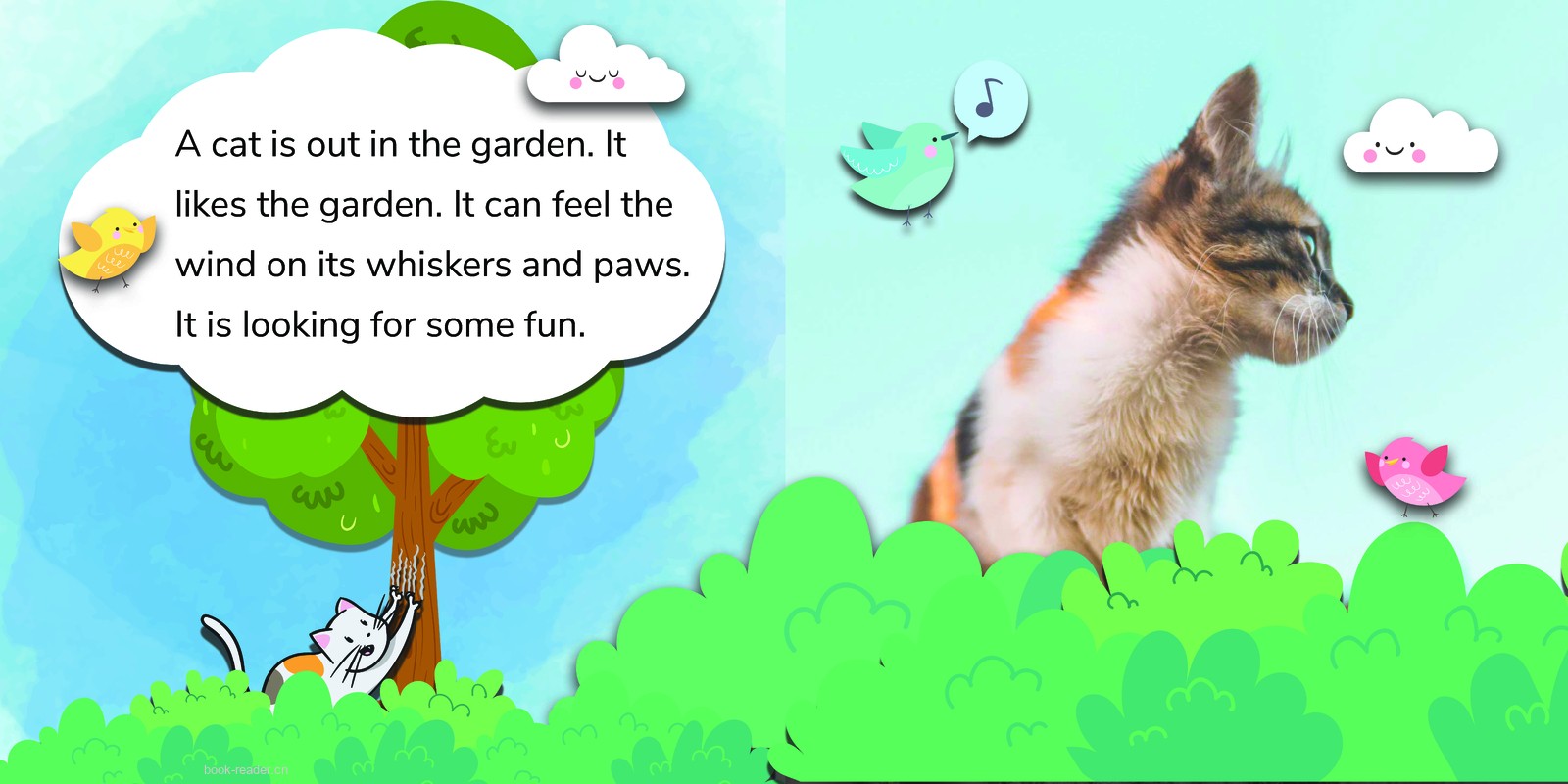 Cats!  An early reader about cats – for cat lovers
