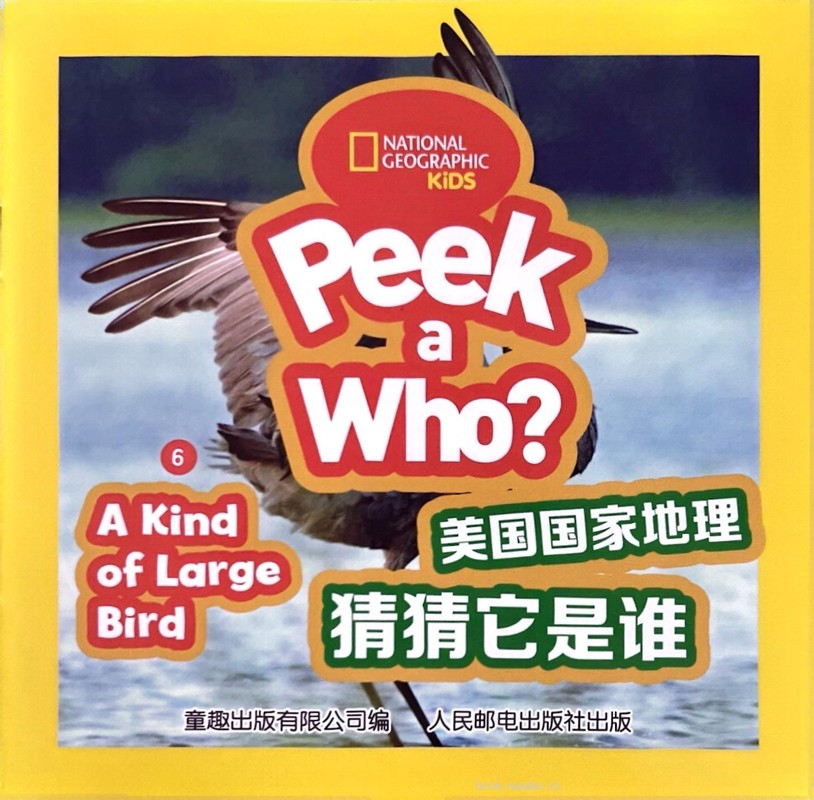 A Kind of Large Bird