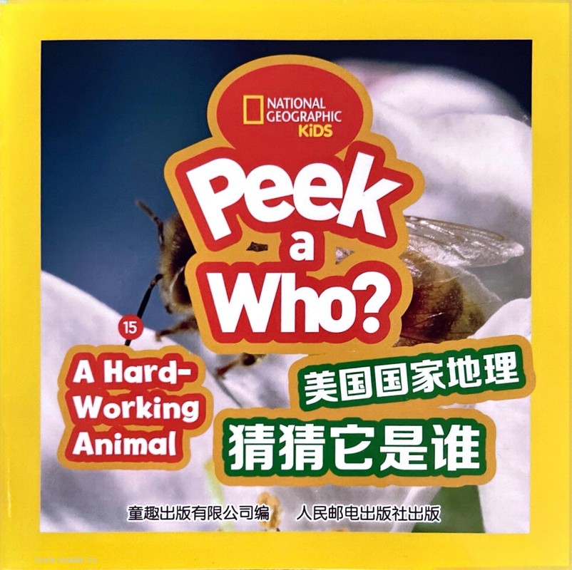 A Hard-Working Animal