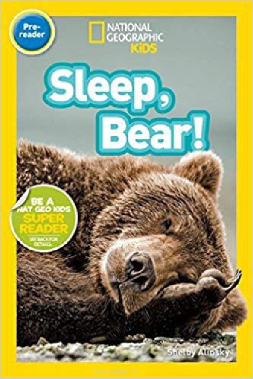  Sleep, Bear!
