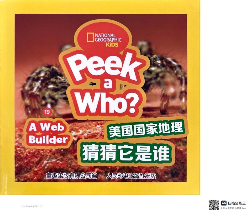A Web Builder
