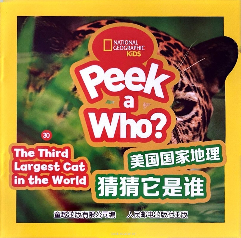 The Third Largest Cat int the World