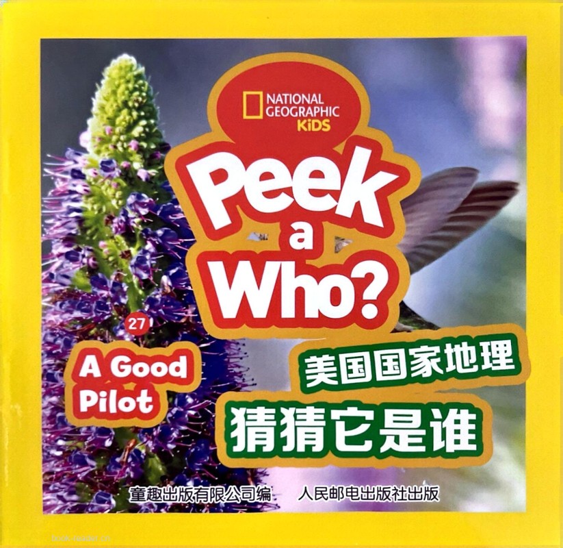A Good Pilot