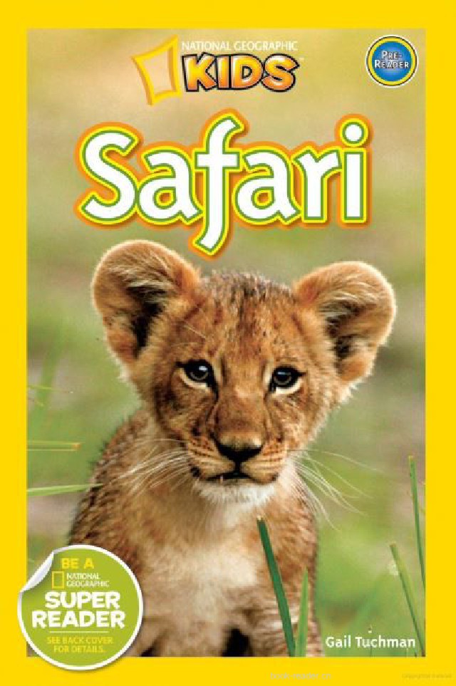 Safari