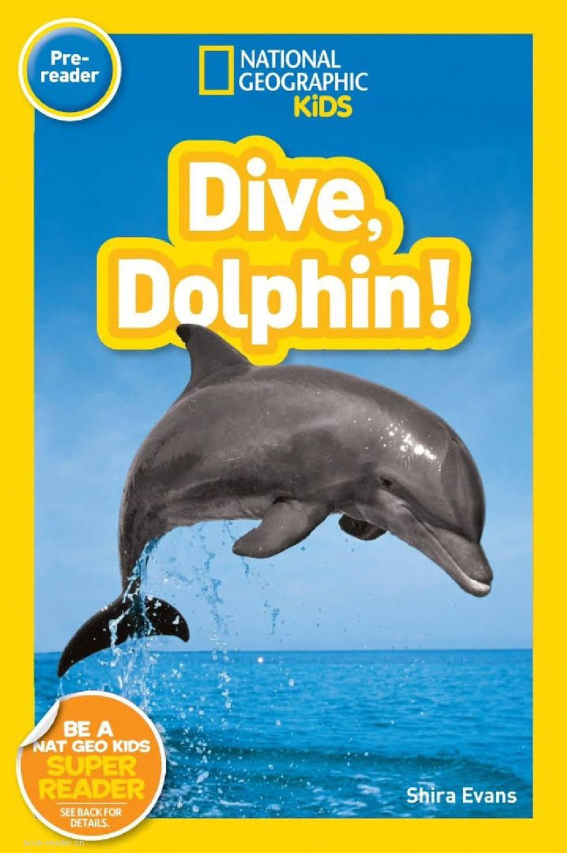 Dive, Dolphin