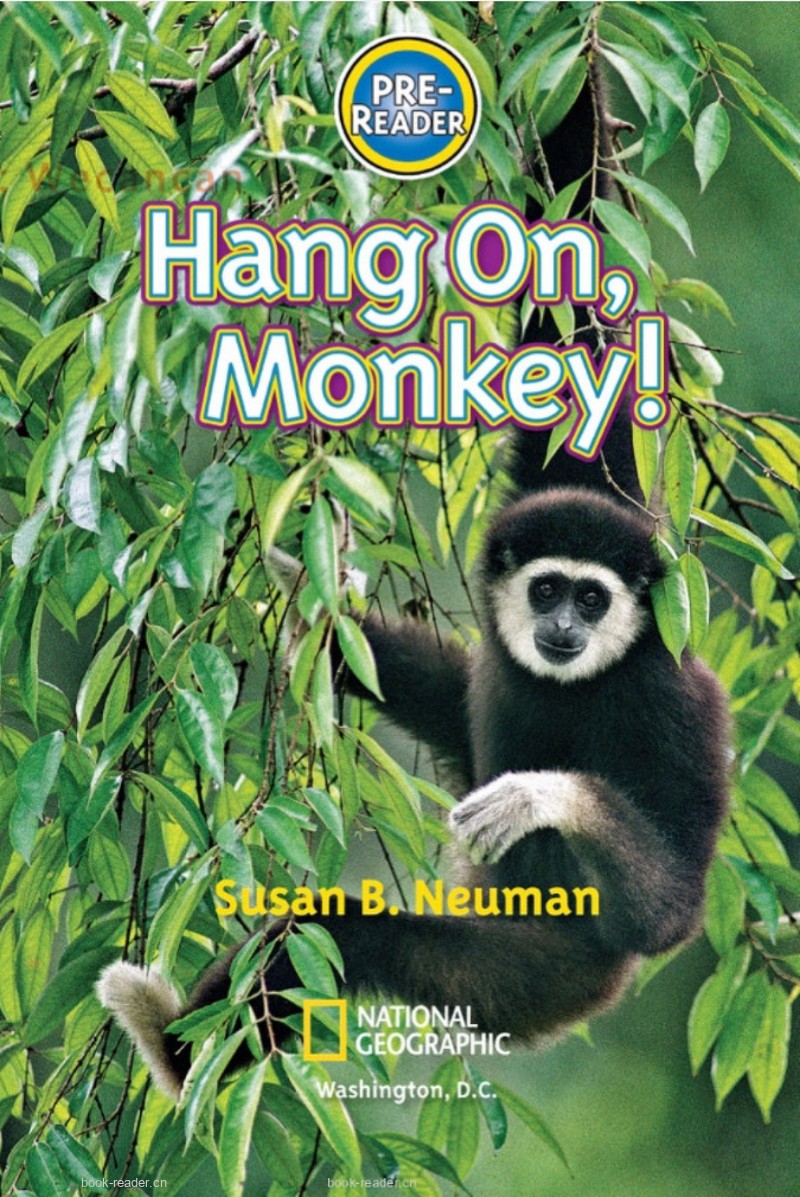 Hang On, Monkey