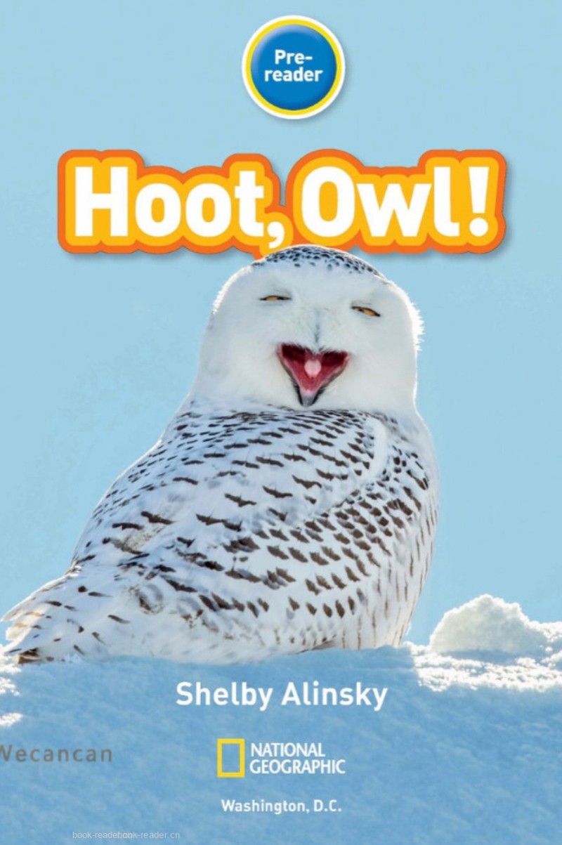 Hoot, Owl