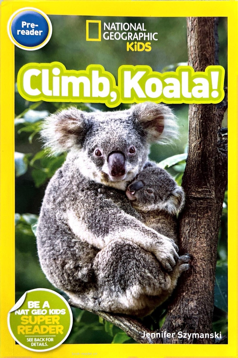 Climb, Koala