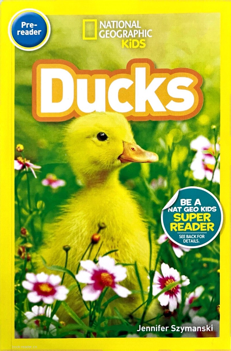 Ducks