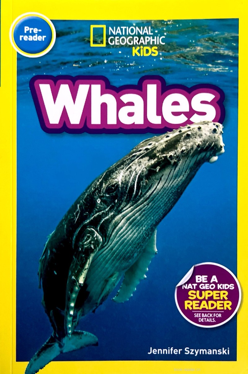 Whales