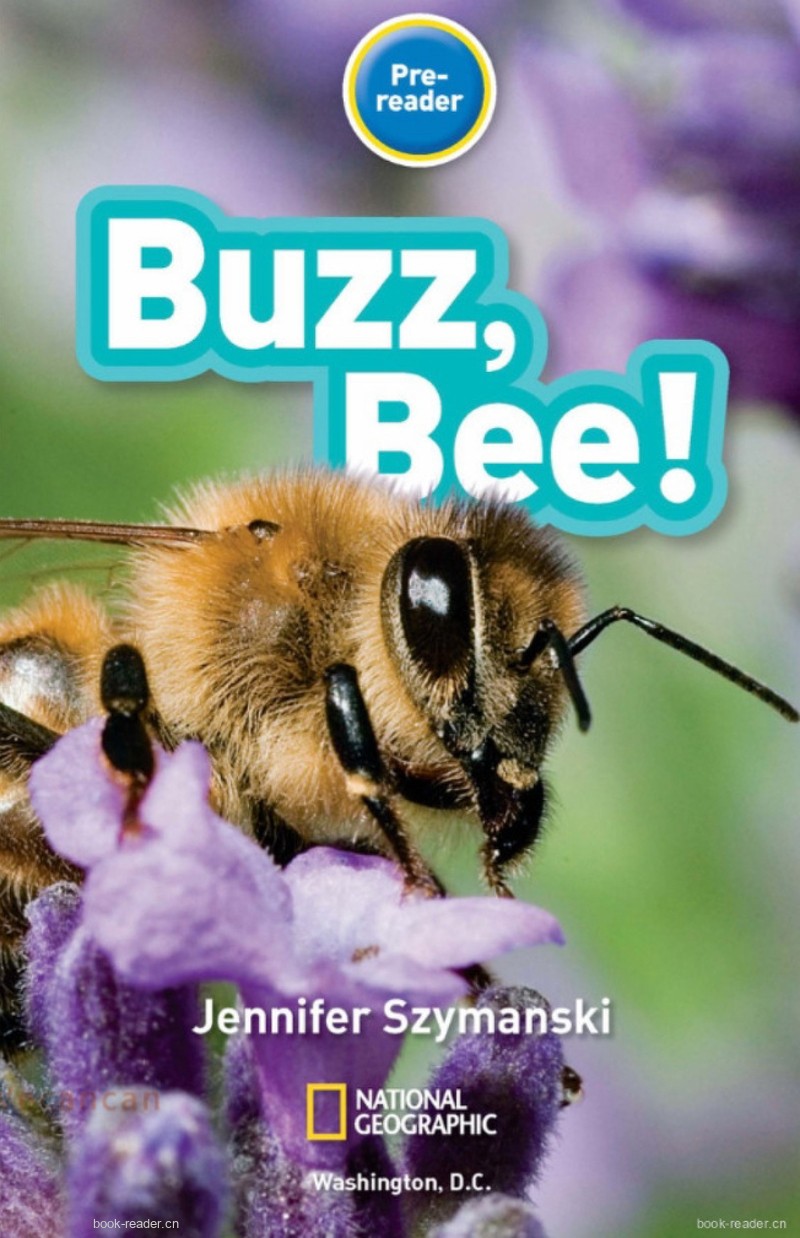 Buzz, Bee
