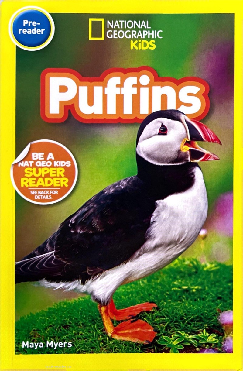 Puffins
