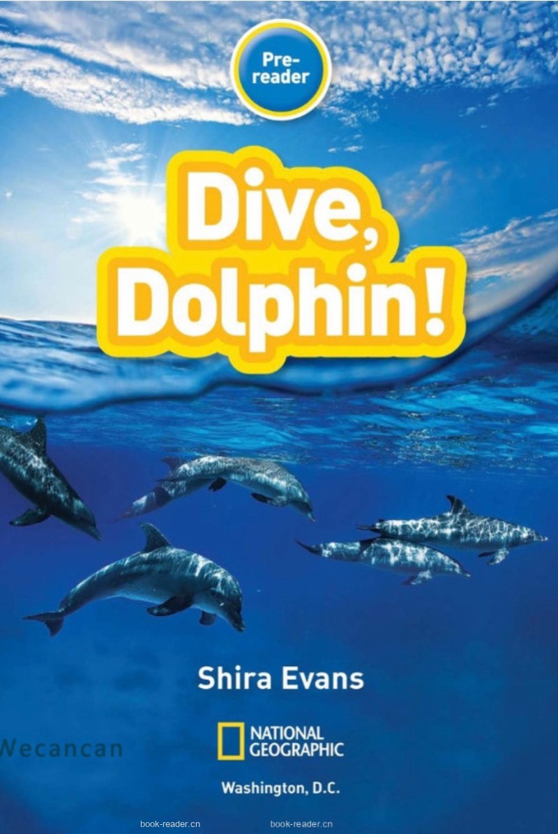 Dive, Dolphin