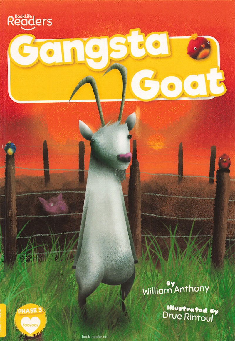 Gangsta goat