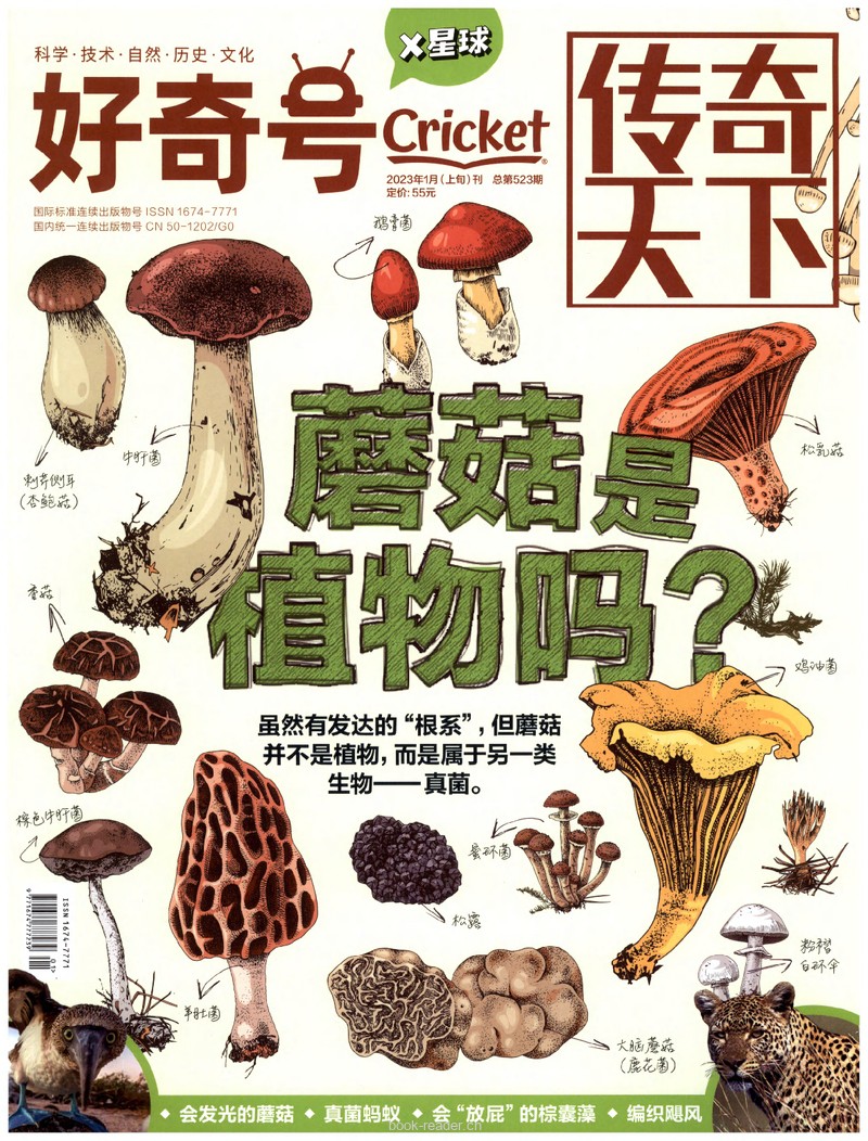 好奇号1月X星球-蘑菇是植物吗