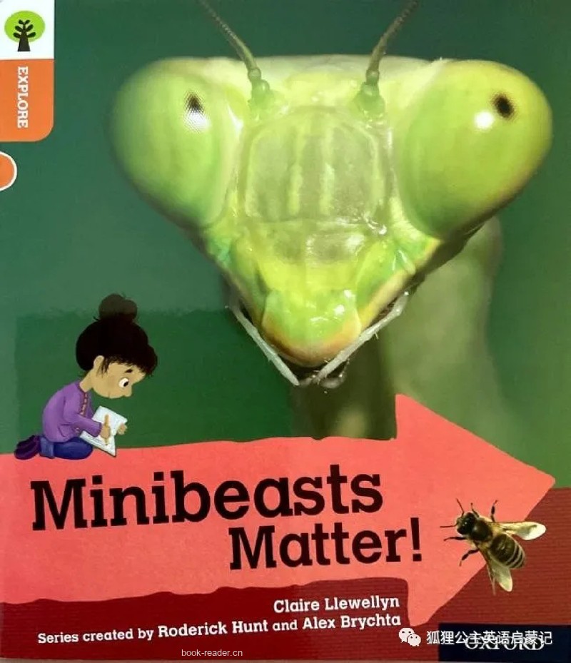 minibeast matter