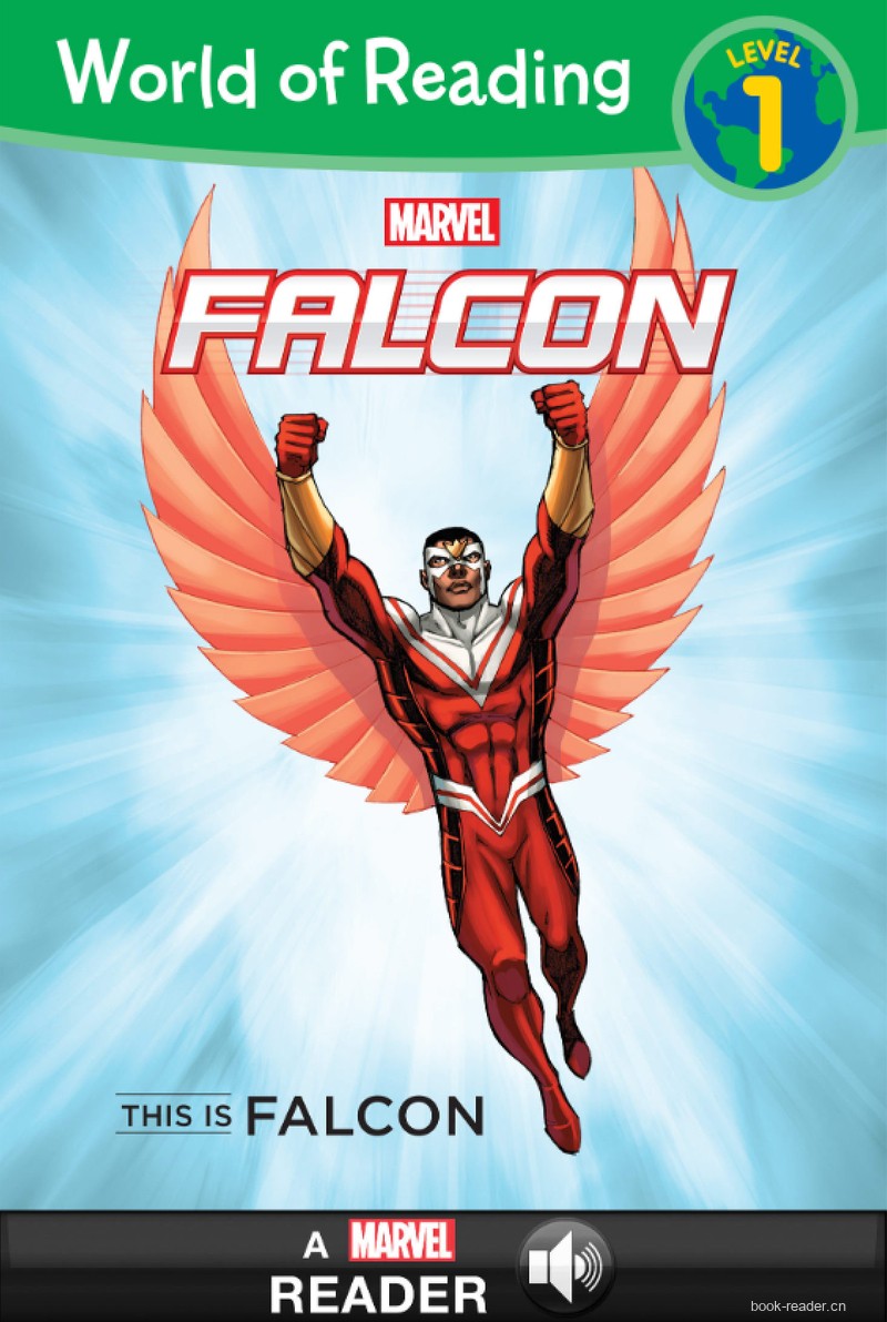 THIS IS FALCON